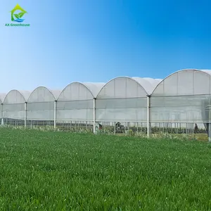 prefab multi-span greenhouses aluminum frame green house