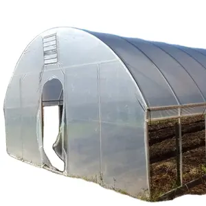 Filme Plástico com efeito de Estufa agrícola Multi-span Arch Estufa De Tomate e Morango com efeito de Estufa