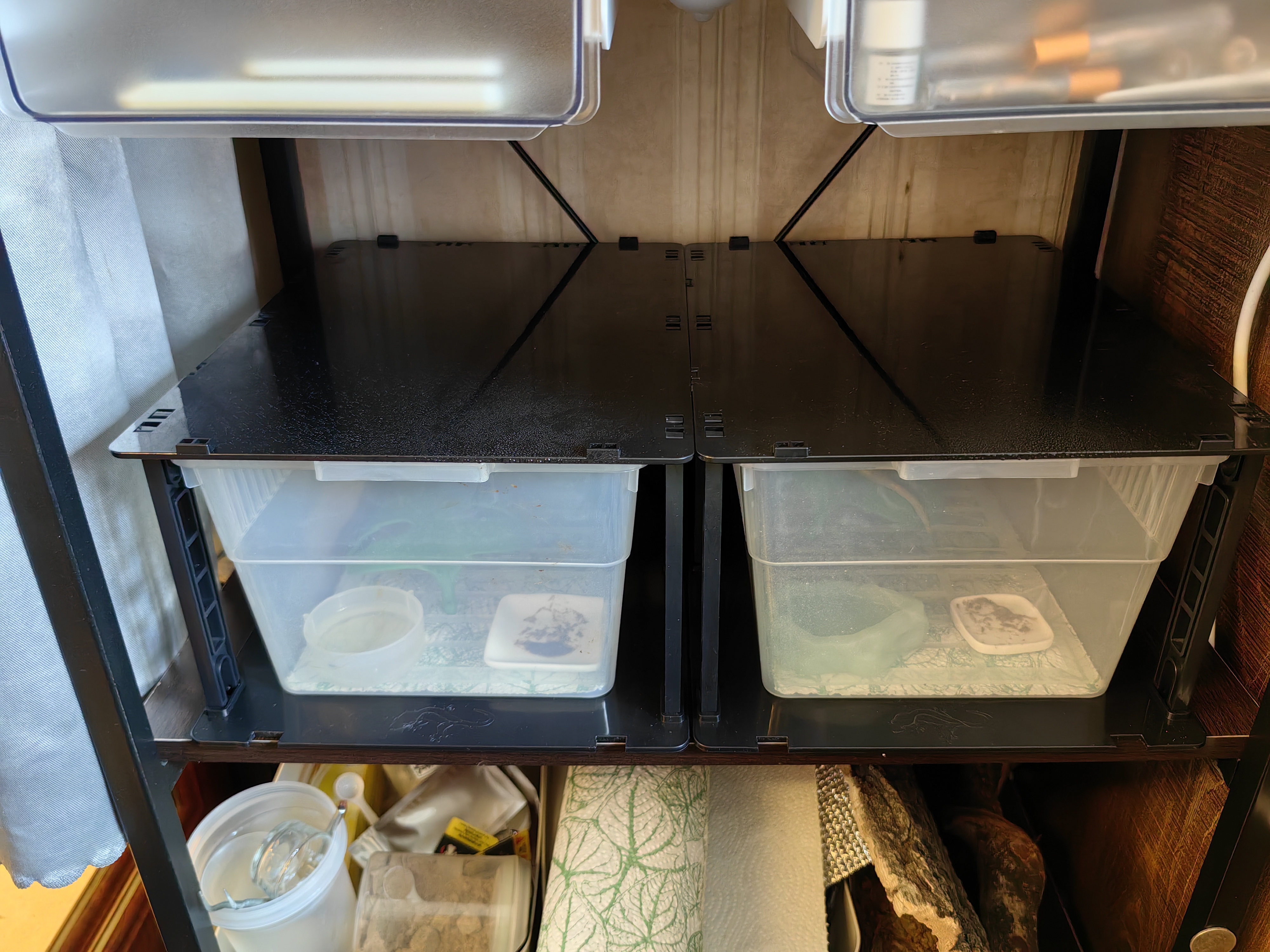 スネークラック スネークビン給餌ラック、爬虫類ボールパイソンタブ、繁殖ラック