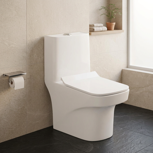 WC monobloc en céramique Vistaar à chasse d'eau par siphon à jet, à poser au sol, pour lavabo - Product Image 6