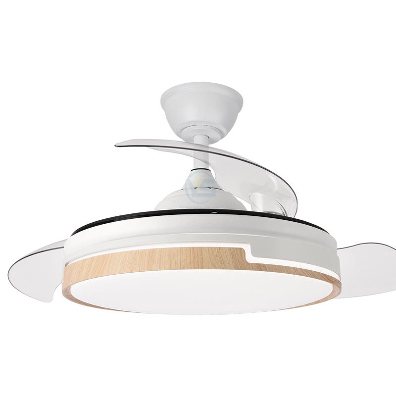 ขาว + เม็ดไม้