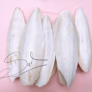 Harina de hueso de sepia seca recortada-Proteína 30% de grado premium-Calidad de exportación para alimentación de aves - Product Image 1