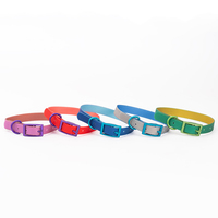 Colliers pour chiens NOVIPET en PVC personnalisés avec logo, imperméables, couleur distinctive et boucle métallique, réglables et durables