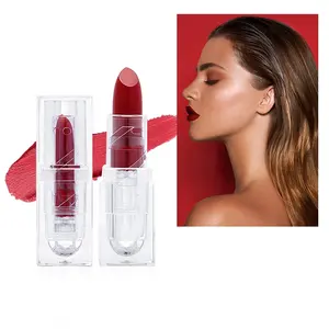 Rossetto opaco etichetta privata acrilico rossetto trasparente rossetto rossetto di lunga durata