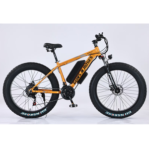 Bicicleta Eléctrica de Neumáticos Anchos de Alta Calidad de Fábrica en Oferta, Batería de Litio de 350 W, Discover Fatbike Discover - Product Image 3