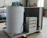 Machine à glace en paillettes industrielle efficace, conception économe en énergie, faible entretien, capacité de 500 kg, économique pour les installations alimentaires