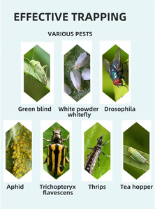 แผ่นกาวดักแมลงสองด้าน สีเหลือง สำหรับดักแมลงวันผลไม้ - Product Image 6