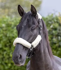 Paardensport Fabrikant Op Maat Gemaakt Paard Gewatteerd Halster Met Warm Nepbont Voor Paardrijden