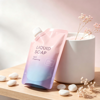 Pochette souple rechargeable haut de gamme avec bec verseur latéral de 0,86 cm et bouchon à vis pour emballages de savon liquide