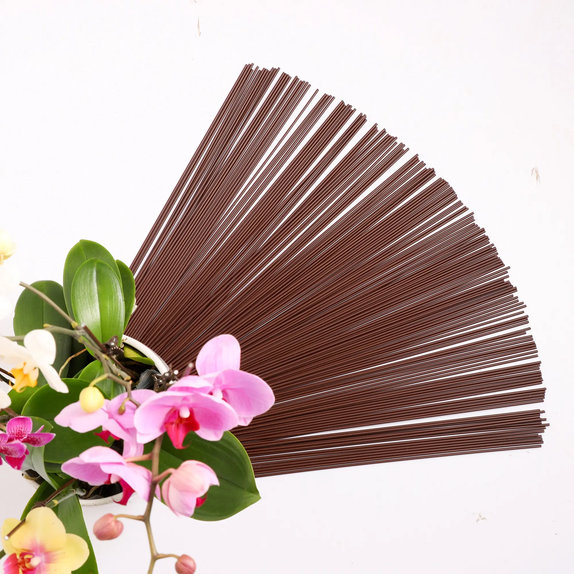 Venta al por mayor de alambre de hierro cubierto de plástico, tallo marrón, mariposa, orquídea y Poste de soporte para cultivo de plantas