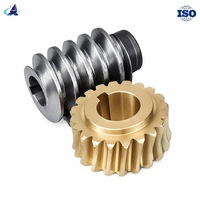 Ensemble d'engrenages à vis sans fin et d'arbres à vis sans fin sur mesure, non standard, ISO9001, usiné avec précision par CNC, bronze 45 # Joint de robot d'automatisation à vis sans fin en acier