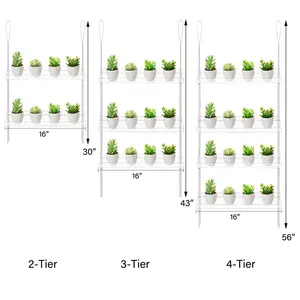 3层透明亚克力挂窗植物搁板壁式浮动植物支架展示种植草药微绿色多肉植物花