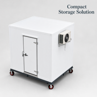 Conteneur mobile portable de stockage frigorifique, chambre froide pour événements de restauration en plein air