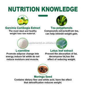 Produits de beauté professionnels pour adultes, complexe brûleur de graisse, système avancé de perte de poids, gestion de l'énergie, remodelage complet du corps - Product Image 4