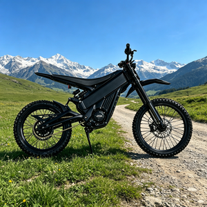 Talaria Pro 2026 Stock Trend, Moto de Cross Eléctrica con Motor de 60V X3 para Todoterreno, Suministro desde Almacén en el Extranjero - Product Image 1