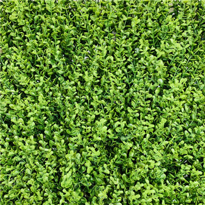 Artificial pared verde jardín vertical china verde artificial de paneles de pared - Product Image 3