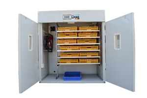 Incubateur solaire entièrement automatique pour l'éclosion des poussins, <span class=keywords><strong>prix</strong></span> aux Philippines - Product Image 3