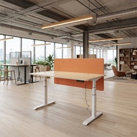 Bureau d'étude moderne pour enfants OTi, avec structure en acier, hauteur réglable électriquement, système de levage intelligent, capacité de charge de 120 kg, pour bureau et bâtiment.