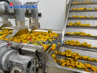 Machine d'extraction automatique de jus de fruits en acier inoxydable 304 pour fraises, tomates, mangues, ananas, avec moteur haute efficacité