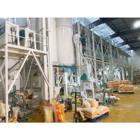 100 Machine de fraisage de farine de maïs TPD ensembles complets de ligne de Production