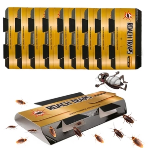 Tùy Chỉnh Cao-Hiệu Quả Phổ Biến Keo Bẫy Cho Gián Trong Vòng Gián Bẫy Hộp - Product Image 2