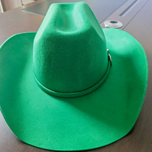 VW038 Vente directe d'usine Chapeaux de cowboy de haute qualité Nouveau design Chapeau de cowboy en laine 100% couleur Evergreen - Product Image 1