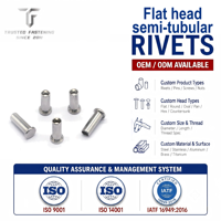 TianFang – Rivets semi-tubulaires à tête plate en acier inoxydable 304 de haute qualité, prix abordable pour usage industriel, fixation OEM