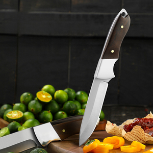 Coltello da cucina di alta qualità per agnello 2025 nuovo Design con lama in acciaio inossidabile 4 cr13 per il taglio di carne ecc. - Product Image 3
