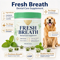 Frisse Adem Tandverzorging Kauwtabletten voor Honden Mondgezondheid Ondersteuning Lysozyme Thee Polyfenol Lecithine Kauwbare Tabletten OEM Private Label