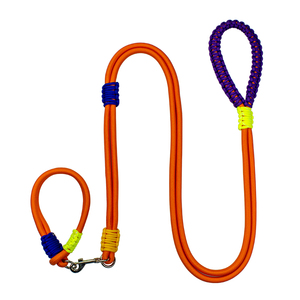 Correa reflectante de nailon para perros con mango acolchado, estilo sencillo para perros medianos, colores naranja, azul y verde - Product Image 1