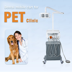 Escalador pieza de mano portátil integrado compresor de aire carro dental unidad carro salón de belleza lámpara de luz LED veterinaria - Product Image 3