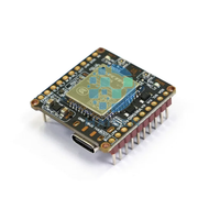 HAISEN Quectel EC800 EG800 Core Board IoT 4G CAT1 EC800K EG800Z EG800AK EG800K Papan Pengembangan