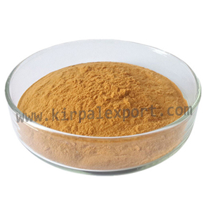 Arnica Montana-hierbas orgánicas naturales, Triple refinado, proveedor indio - Product Image 1