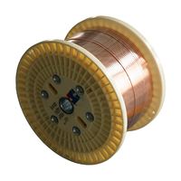 Filmumwickelte Massive Flache Isolierte Wickeldrähte Aluminium/Kupfer-Leiter 220V Industriestrom für Transformatoren