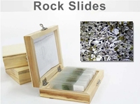 12Pcs Rock Prepared Microscope Slides Igneous Metamorphic Rock Thin Section Specimen Slides Geology Teaching Specimens