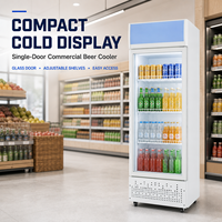Kulkas Minuman Komersial Pintu Kaca, Pendingin Minuman Tegak, Lemari Pendingin Display untuk Bar, Hotel, Restoran, Supermarket