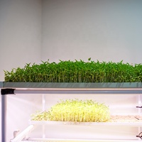 Systèmes hydroponiques d'intérieur pour la culture de micro-légumes avec éclairage, utilisés dans les fermes hydroponiques