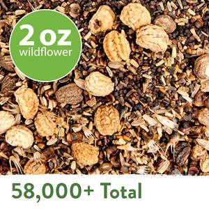 Commerce de gros populaire Home Grown Premium Texas fleur sauvage pour la plantation <span class=keywords><strong>en</strong></span> <span class=keywords><strong>plein</strong></span> air - Product Image 3