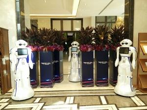 Intelligent Commercial受信歓迎Service人間サイズのロボット - Product Image 5