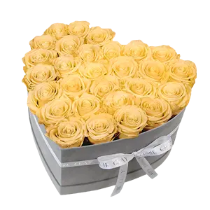 도매 아버지의 날 선물 포장 럭셔리 상자 꽃, 심장 벨벳 꽃 상자