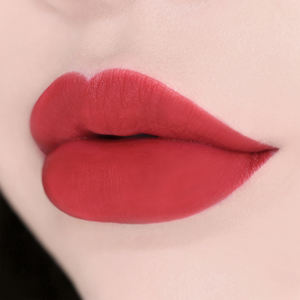 OEM ODM L'OCEAN Brillo Labial Líquido Herbal Terciopelo Borgoña Sangriento Multicolor de Alta Pigmentación Mate de Larga Duración Hecho a Medida - Product Image 2