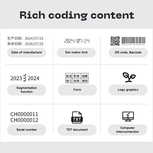 Ручной струйный принтер высокого разрешения (600 dpi) с сенсорным экраном, для нанесения логотипов, даты, номеров, с питанием от аккумулятора, для маркировки (TIJ) - Product Image 6