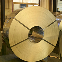 Bandes d'acier prépeintes PPGI/PPGL, revêtement couleur RAL, acier galvanisé, pour profilés de plafond
