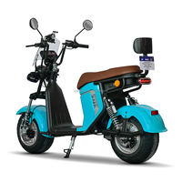 Scooter électrique tout-terrain pour adultes Shansu Citycoco 60V 1000W avec batterie au lithium amovible, vélo électrique à deux roues pour les trajets quotidiens