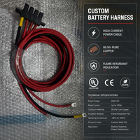 Câble d'alimentation pour stockage d'énergie EV 1500V, faisceau de câbles 10mm² avec connecteur AC 4 trous, borne annulaire plaquée or, assemblage de câbles de batterie
