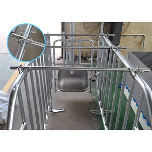 Nouvelle cage de gestation pour porcs durable avec mangeoires, surface lisse, longue durée de vie, acier galvanisé à chaud anti-corrosion - Product Image 6