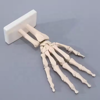 BIG BANG SCIENCE Modelo de Mano Humana Artificial de Tamaño Real, Modelo Anatómico de Esqueleto de Mano de PVC, Modelo de Enseñanza M009, Ciencias Médicas