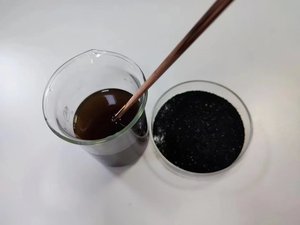 블랙 골드 파우더 차가 버섯 추출물 분말 다당류 50% 자작 나무 벨벳 블랙 골드 입자 - Product Image 5