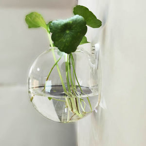 <span class=keywords><strong>Vase</strong></span> en verre hydroponique transparent semi-circulaire mural, décorations créatives pour la maison, vente en gros du fabricant - Product Image 3
