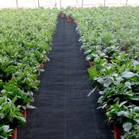 Plastiek onkruidmat anti-onkruid landschapsdoek grondbedekking doorlatende onkruidbarrière voor landbouwgrond fruitbomen groenten teelt